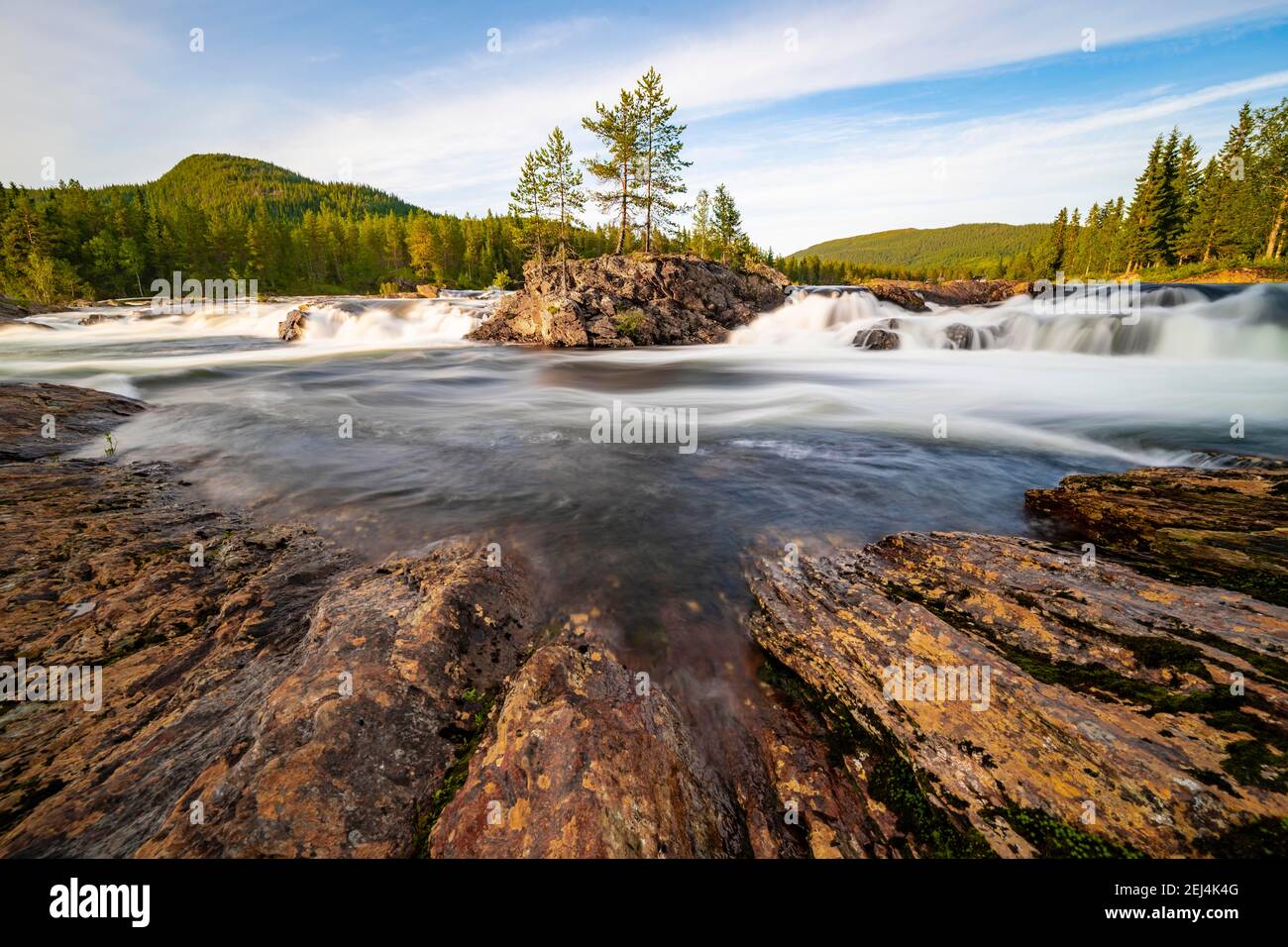 Rapide nel fiume Namsen, foresta di conifere, Namsskogan, Trondelag, Norvegia Foto Stock