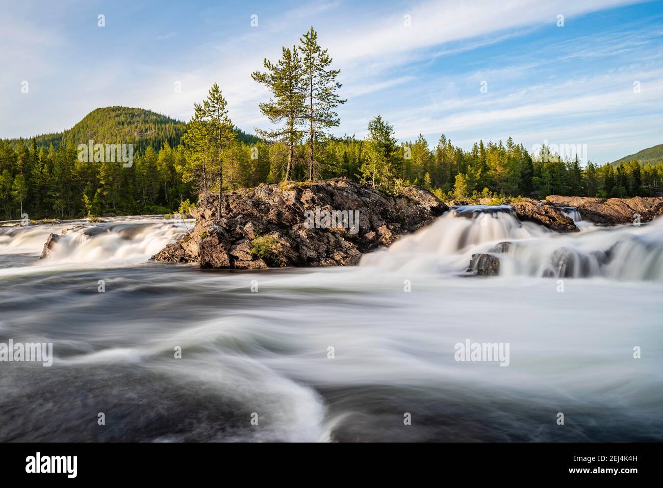Rapide nel fiume Namsen, foresta di conifere, Namsskogan, Trondelag, Norvegia Foto Stock