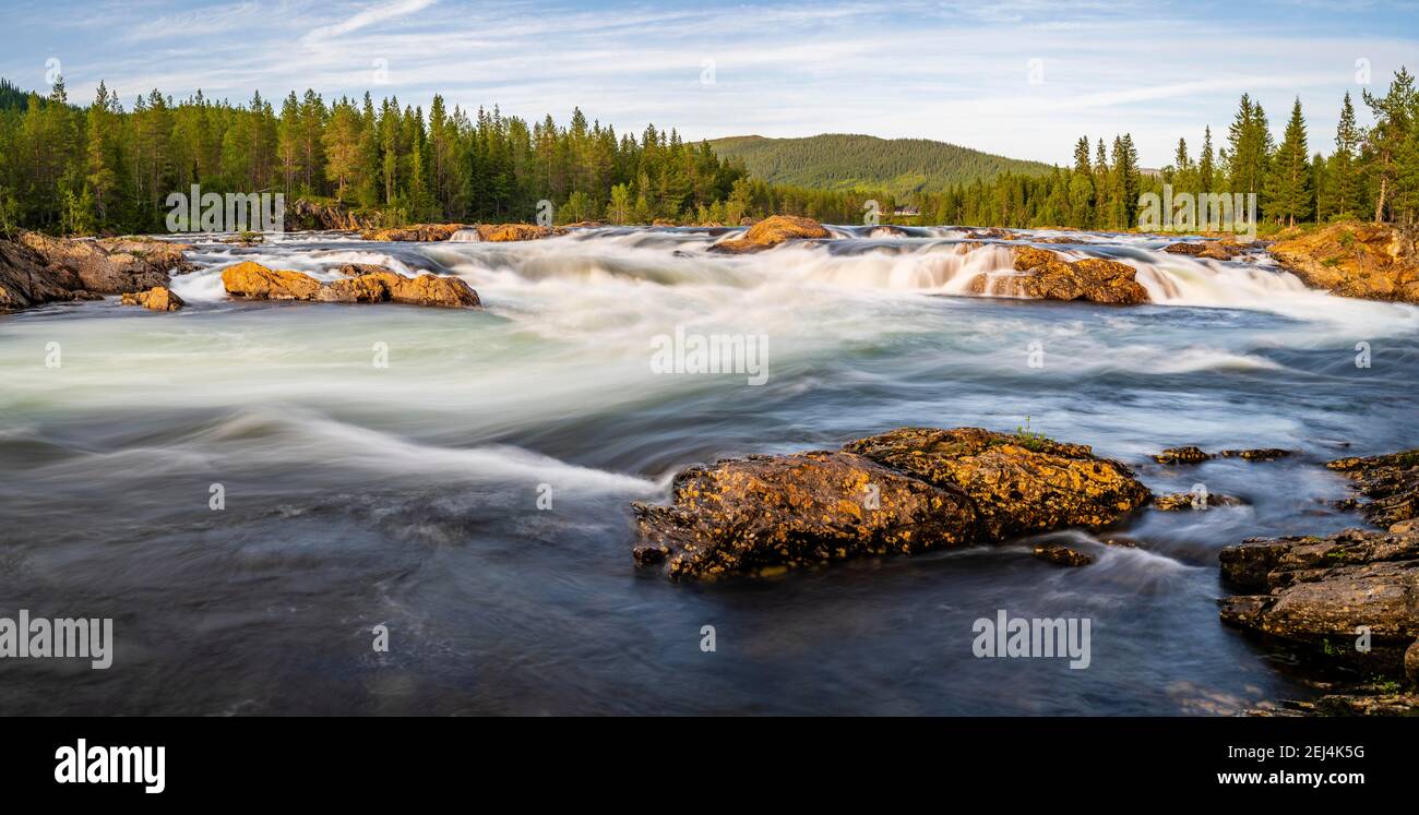 Rapide nel fiume Namsen, foresta di conifere, Namsskogan, Trondelag, Norvegia Foto Stock