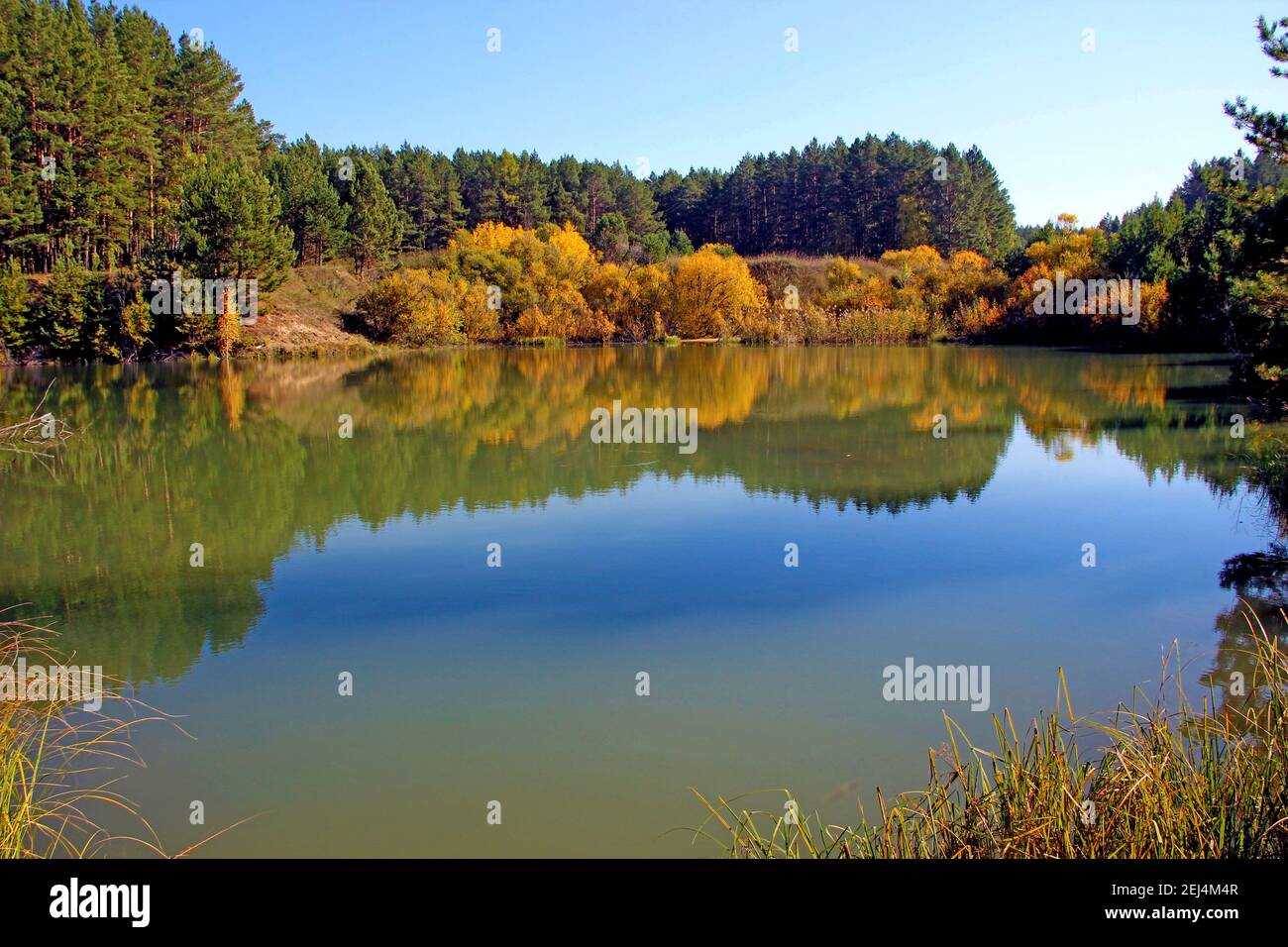 Nella superficie ancora dell'acqua del lago stupefacente, gli alberi ed il cielo si riflettono come in uno specchio. Foto Stock