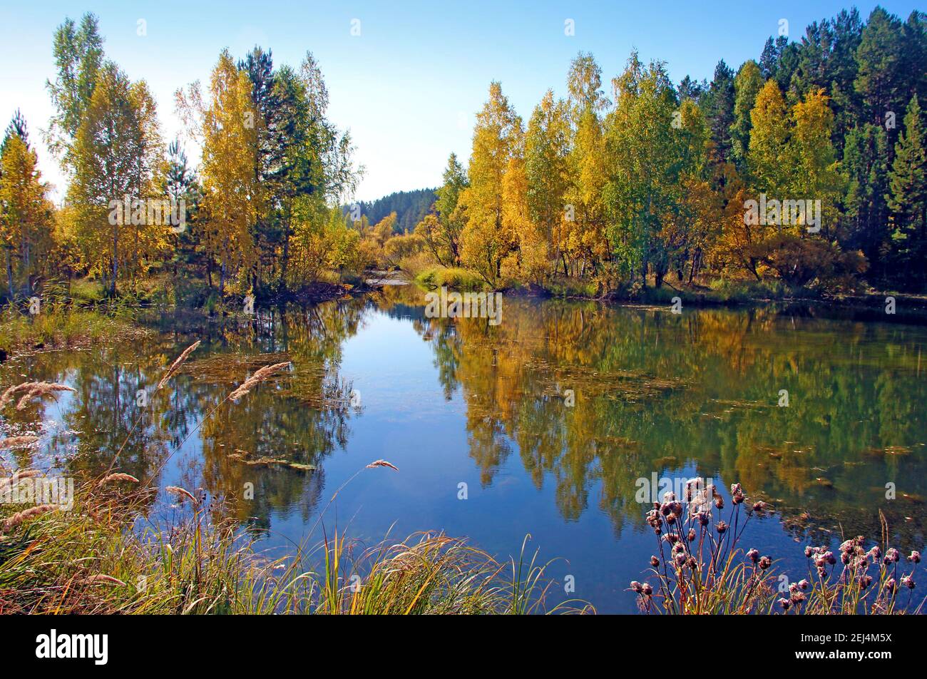 Nella superficie ancora dell'acqua del lago stupefacente, gli alberi ed il cielo si riflettono come in uno specchio. Foto Stock