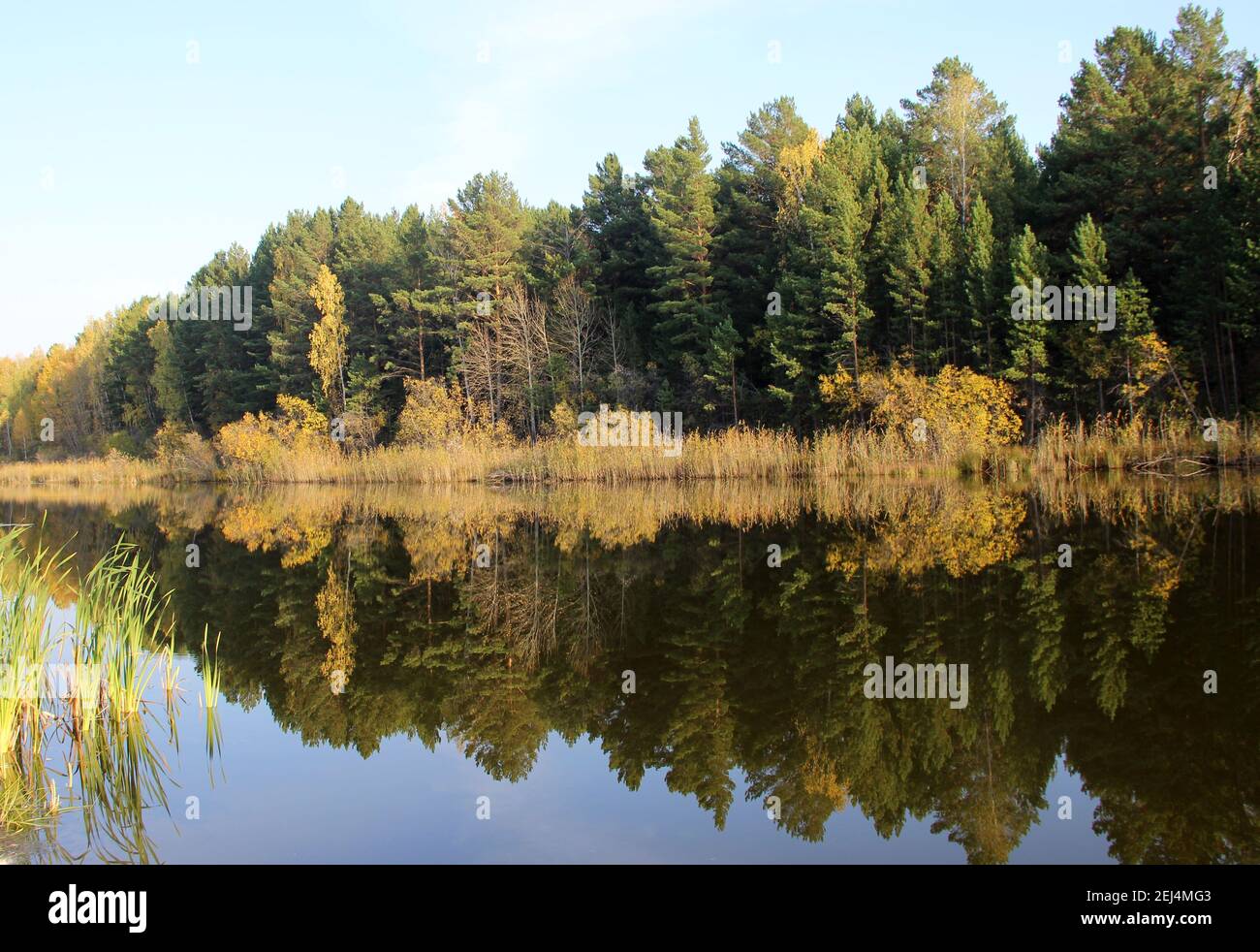 Nella superficie ancora dell'acqua del lago stupefacente, gli alberi ed il cielo si riflettono come in uno specchio. Foto Stock