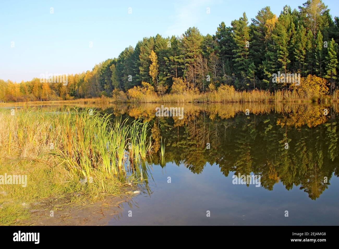 Nella superficie ancora dell'acqua del lago stupefacente, gli alberi ed il cielo si riflettono come in uno specchio. Foto Stock