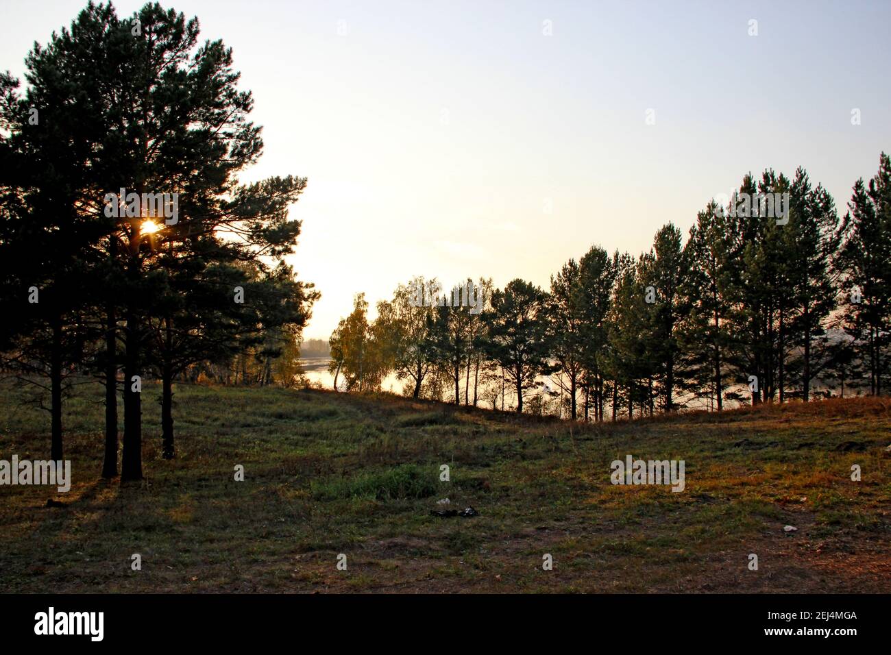 Paesaggio autunnale al tramonto. Uno stagno, un cielo senza nuvole, e il sole che si infrangono attraverso i rami di conifere. Foto Stock
