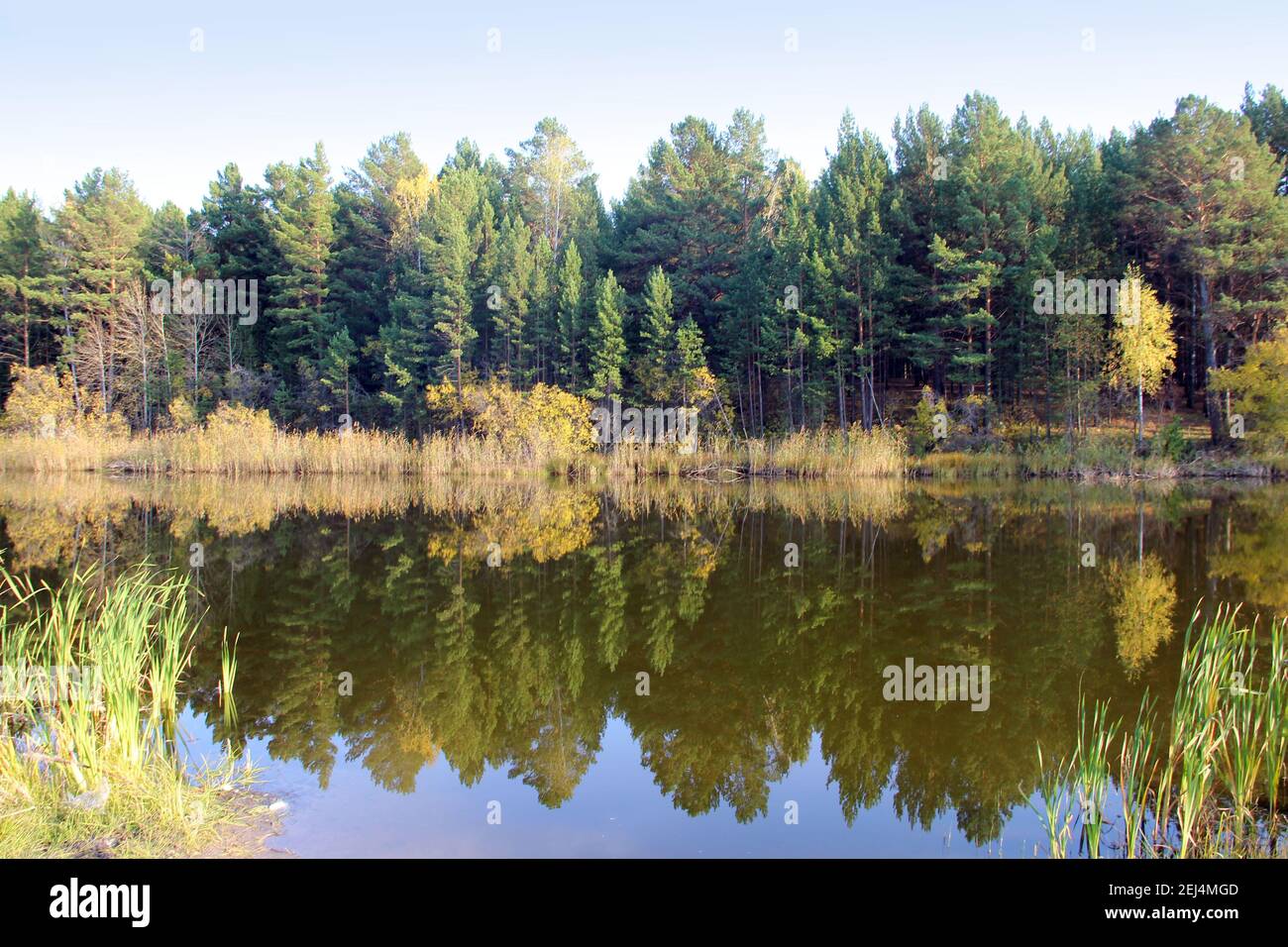 Nella superficie ancora dell'acqua del lago stupefacente, gli alberi ed il cielo si riflettono come in uno specchio. Foto Stock