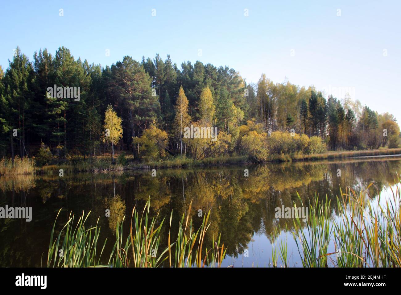 Nella superficie ancora dell'acqua del lago stupefacente, gli alberi ed il cielo si riflettono come in uno specchio. Foto Stock