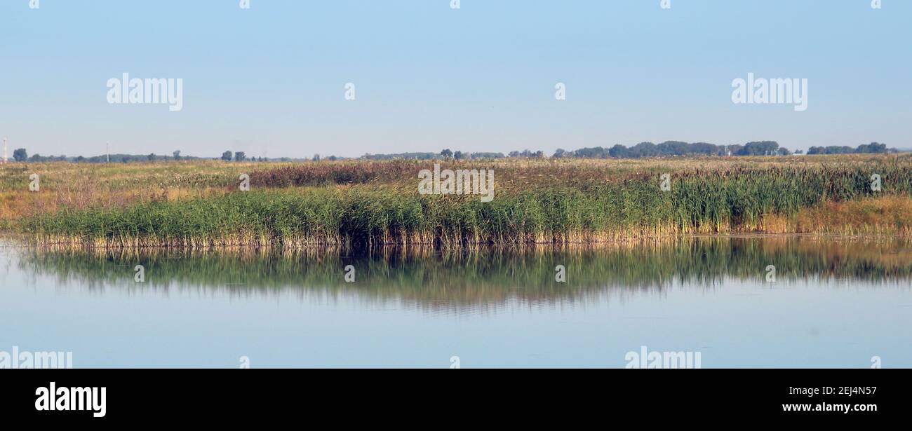 La superficie calma del lago e il riflesso dell'erba costiera in acqua. Paesaggio autunnale. Foto Stock