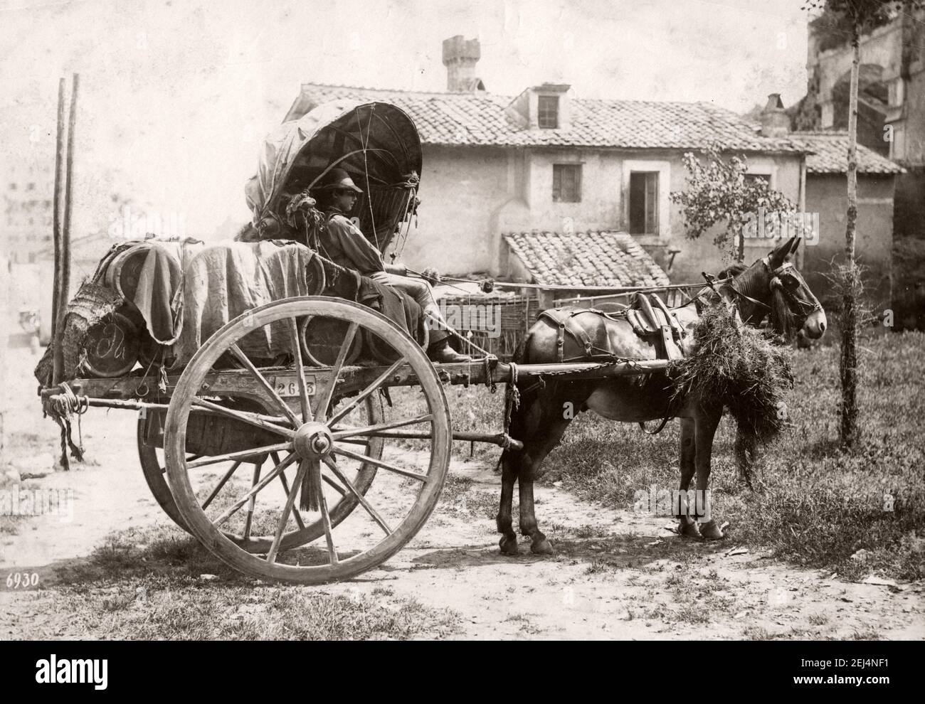 Foto d'annata alla fine del XIX secolo: Mulattiera che tira un carrello, vino, cart, Italia. Foto Stock