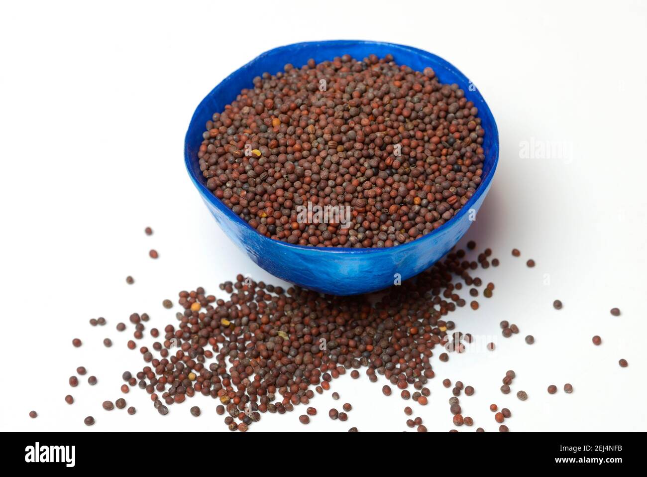 Senape verde (Brassica juncea) semi di senape Foto Stock