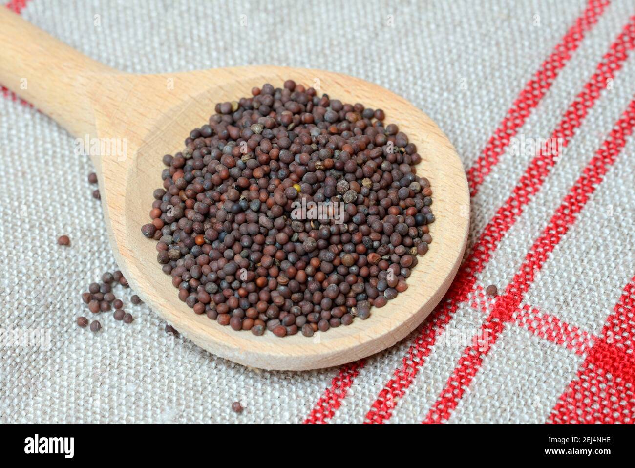 Senape verde (Brassica juncea) semi di senape Foto Stock