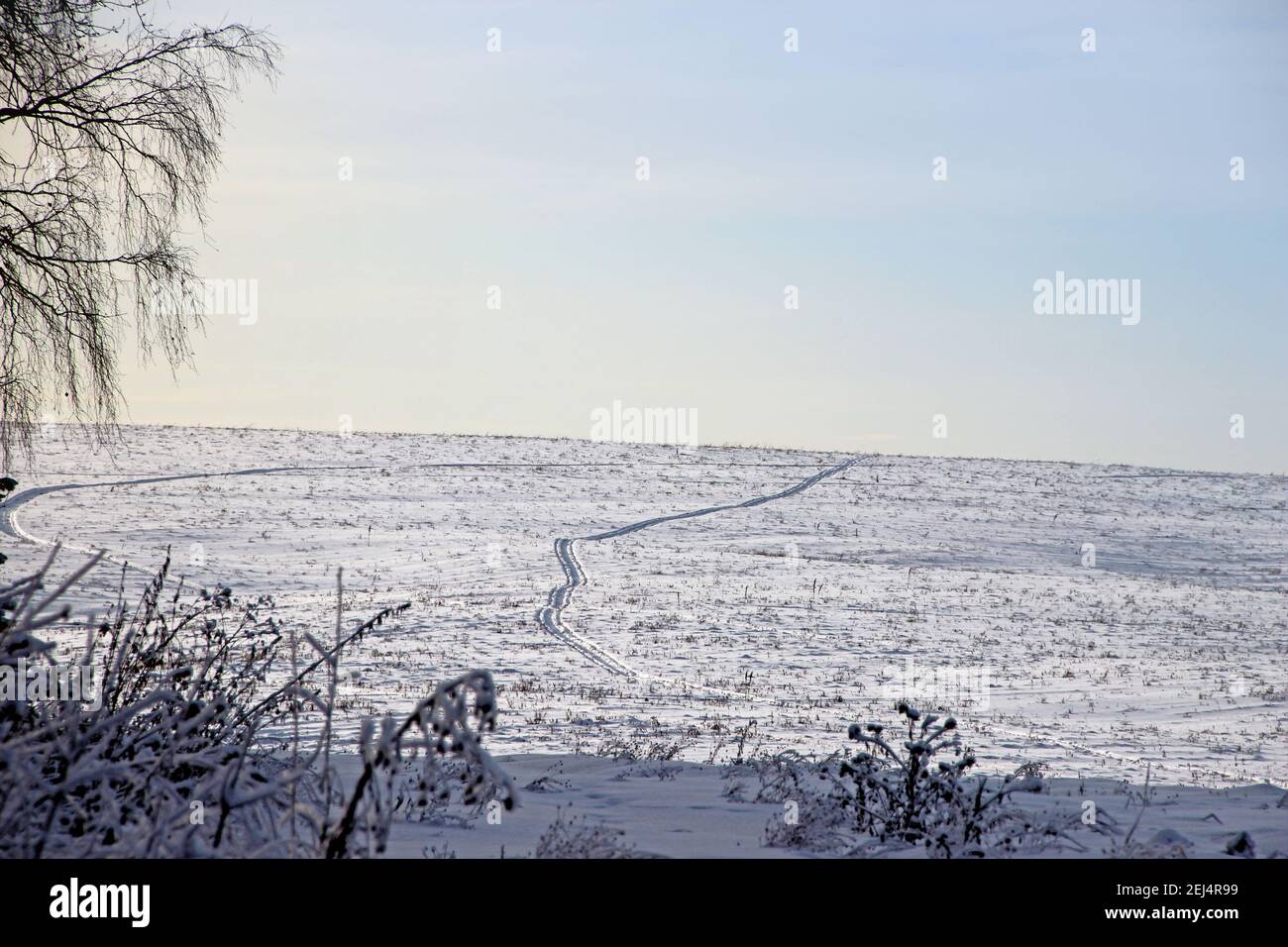 I tracciati delle ruote sul campo innevato saliscono sul pendio in serpenti sinuosi, dritti all'orizzonte. Foto Stock