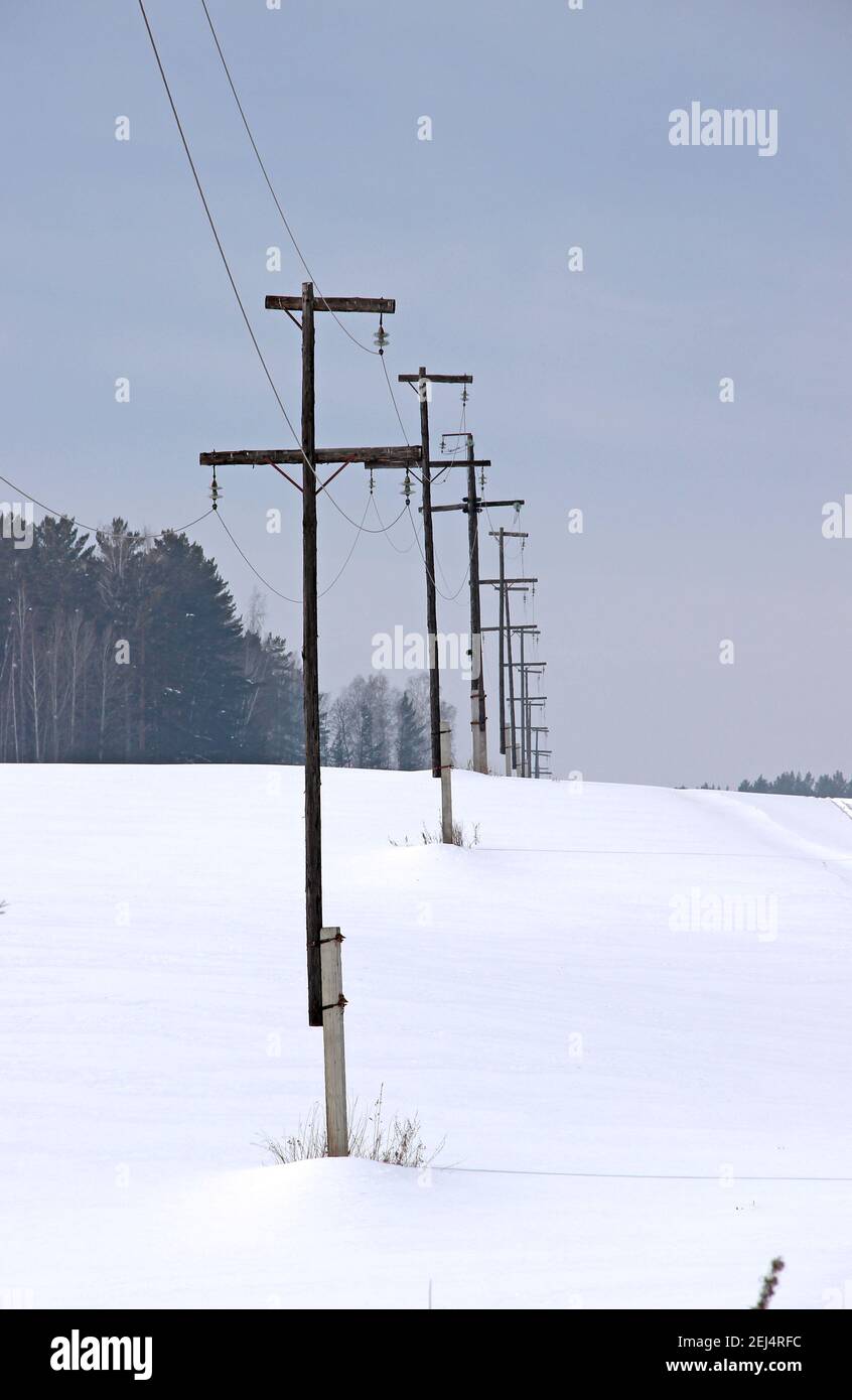 I pali della linea di alimentazione si estendono lungo il bordo della foresta e scompaiono oltre l'orizzonte. Paesaggio invernale. Foto Stock