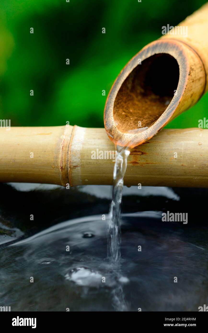 Fontana di bambù giapponese, canna di bambù, canna di canna Foto Stock