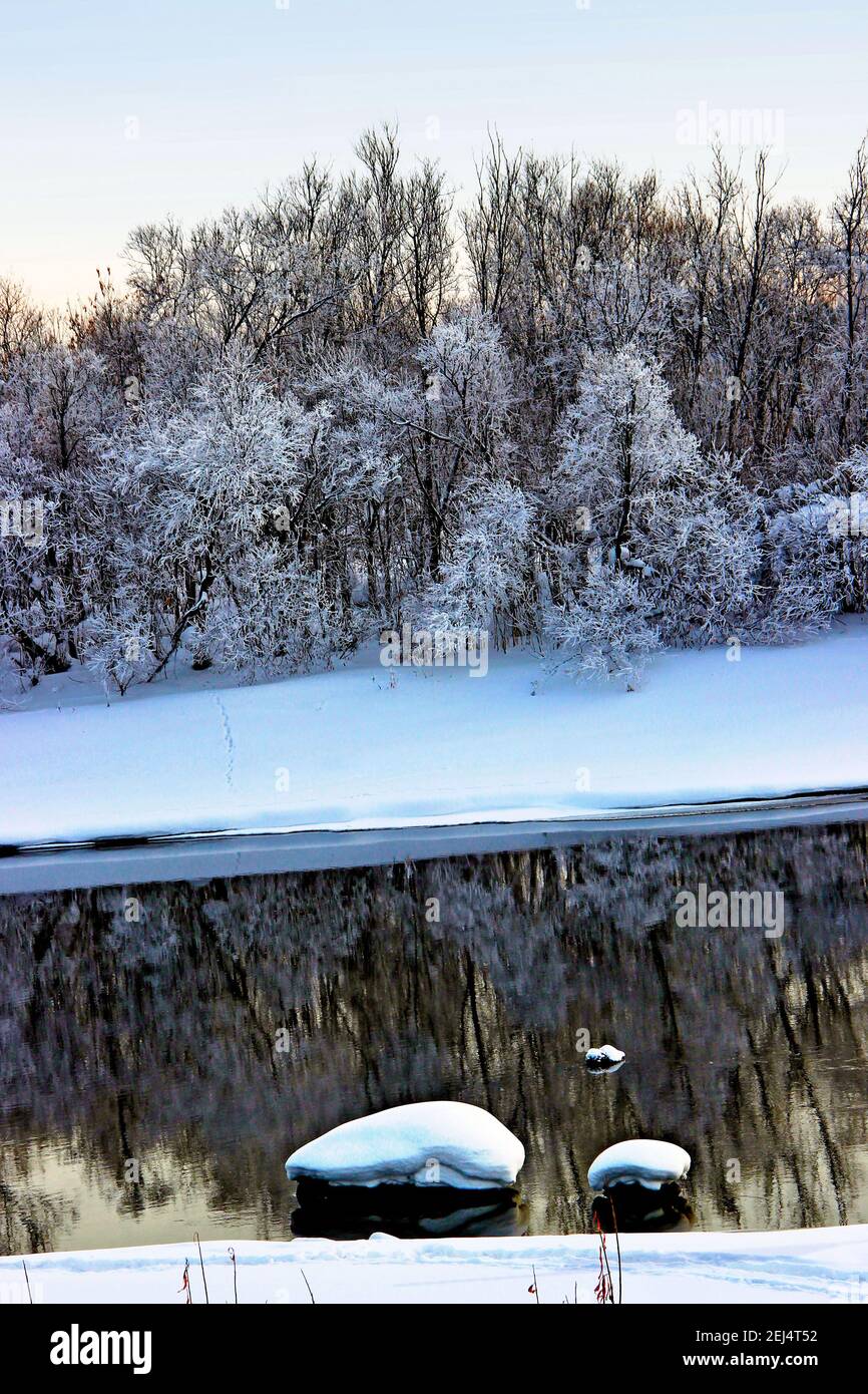 Paesaggio invernale: Superficie dell'acqua come specchio e arbusti ricoperti di neve riflessione e due pietre con cappelli da neve. Foto Stock