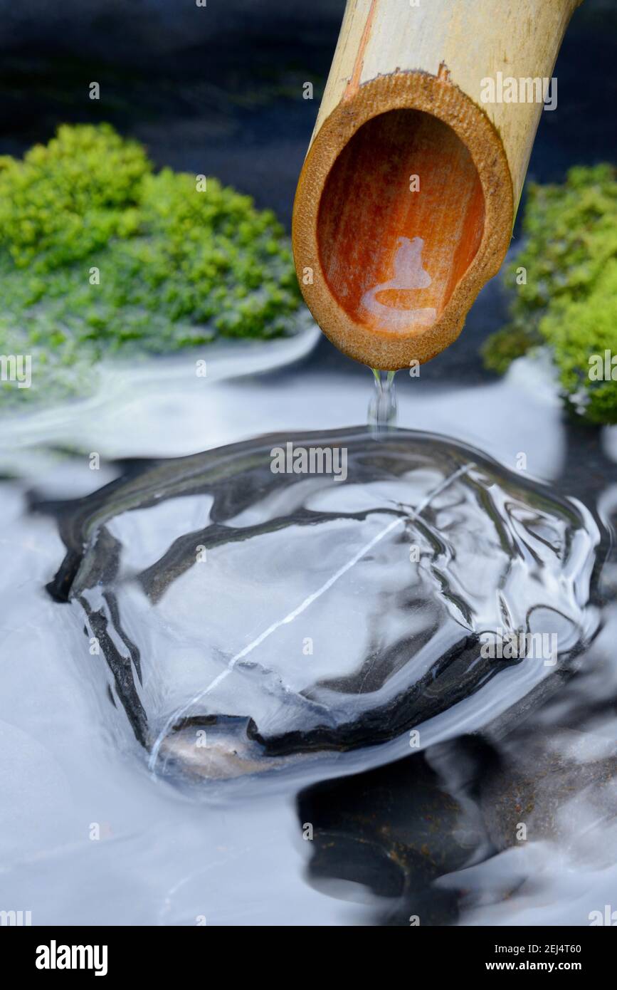 Fontana giapponese, di canna di bambù Foto Stock