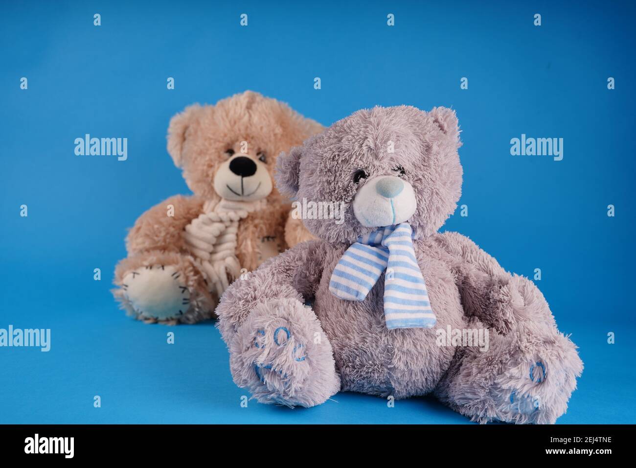 Primo piano di simpatici orsacchiotti. Morbidi giocattoli di peluche su sfondo blu Foto Stock