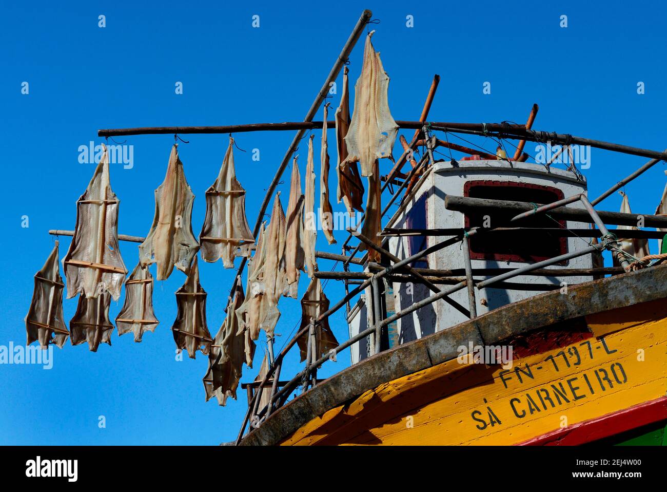 Pesca barca, essiccare pesce pescato, Madera, Portogallo Foto Stock