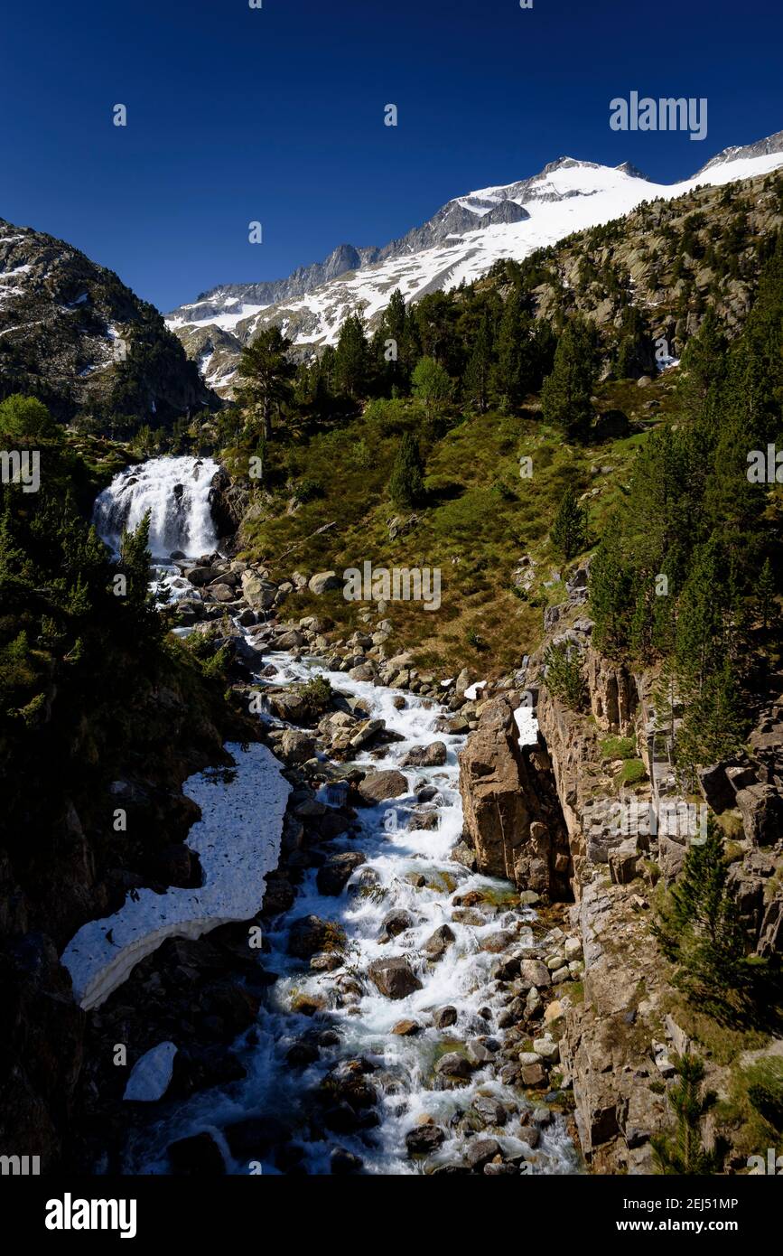 Plan e Forau d'Aigualluts (prato e cascata) sotto la cima Aneto in estate (Benasque, Pirenei, Spagna) Foto Stock