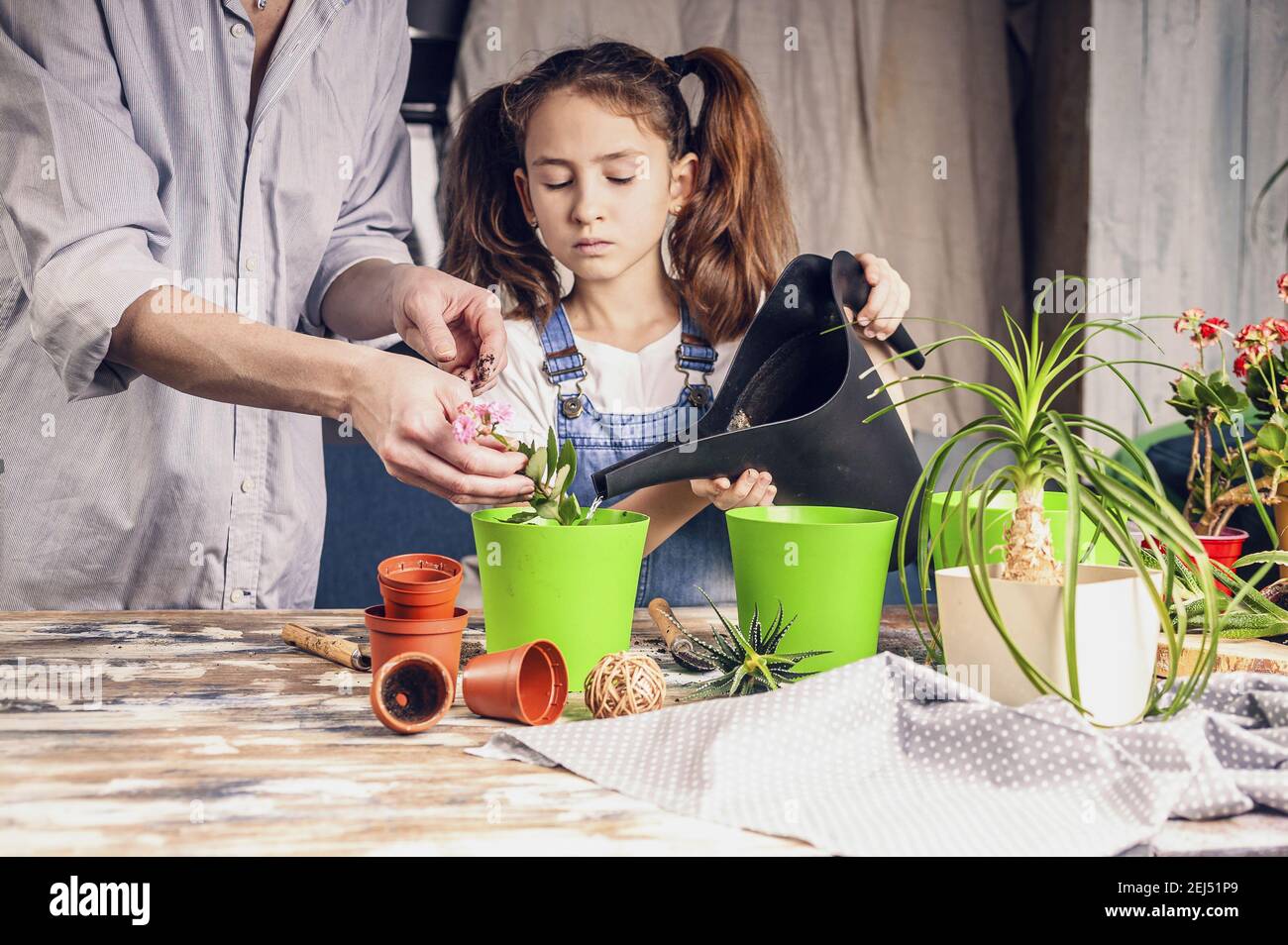 piccola bella ragazza sta innaffiare fiori per aiutare la madre con piantine. casa giardino, attività familiare. etnia caucasica. vista frontale. Foto Stock