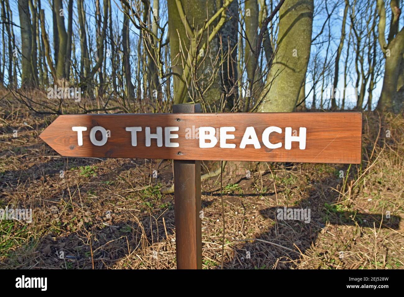 Legno al segno della spiaggia con sfondo della foresta su un giornata di sole con cielo blu Foto Stock