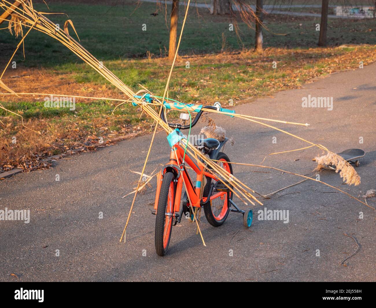Bici per bambini arancione e blu a due ruote con ruote aggiuntive che  trasportano il bulrush e tirano uno skateboard su una corda dietro. Bambini  che giocano a giochi attivi Foto stock -