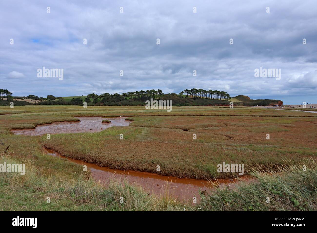 Il fiume marrone e tortuoso Otter scorre attraverso la pianura alluvionale e la riserva naturale di Budleigh Salterton, Devon, prima di entrare nel mare. Foto Stock