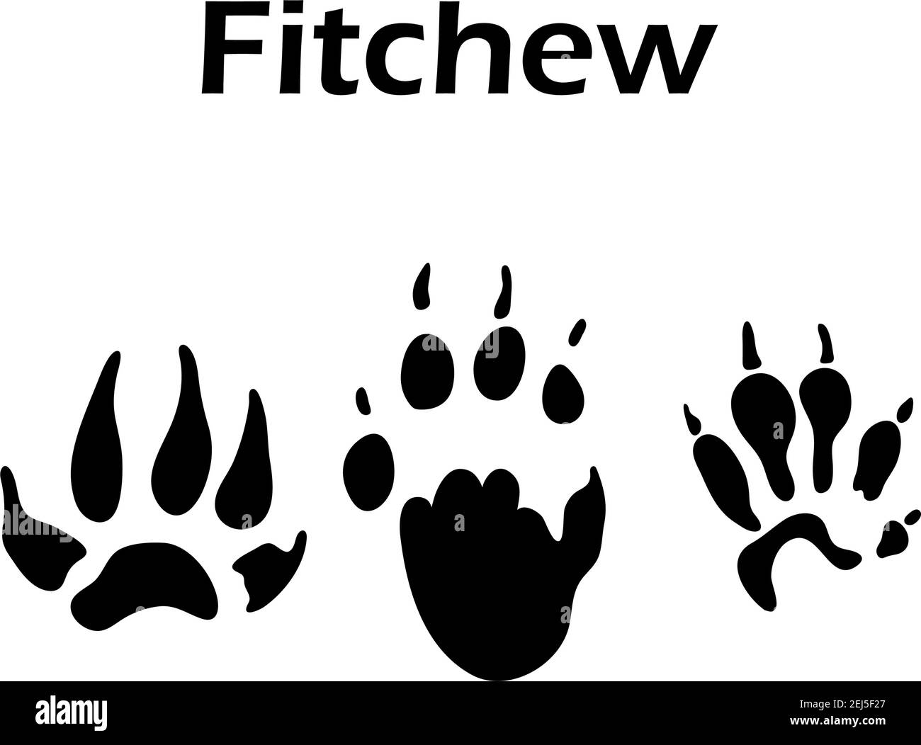 Footprint Fitchew. Silhouette nera Design. Illustrazione Vettoriale. Illustrazione Vettoriale