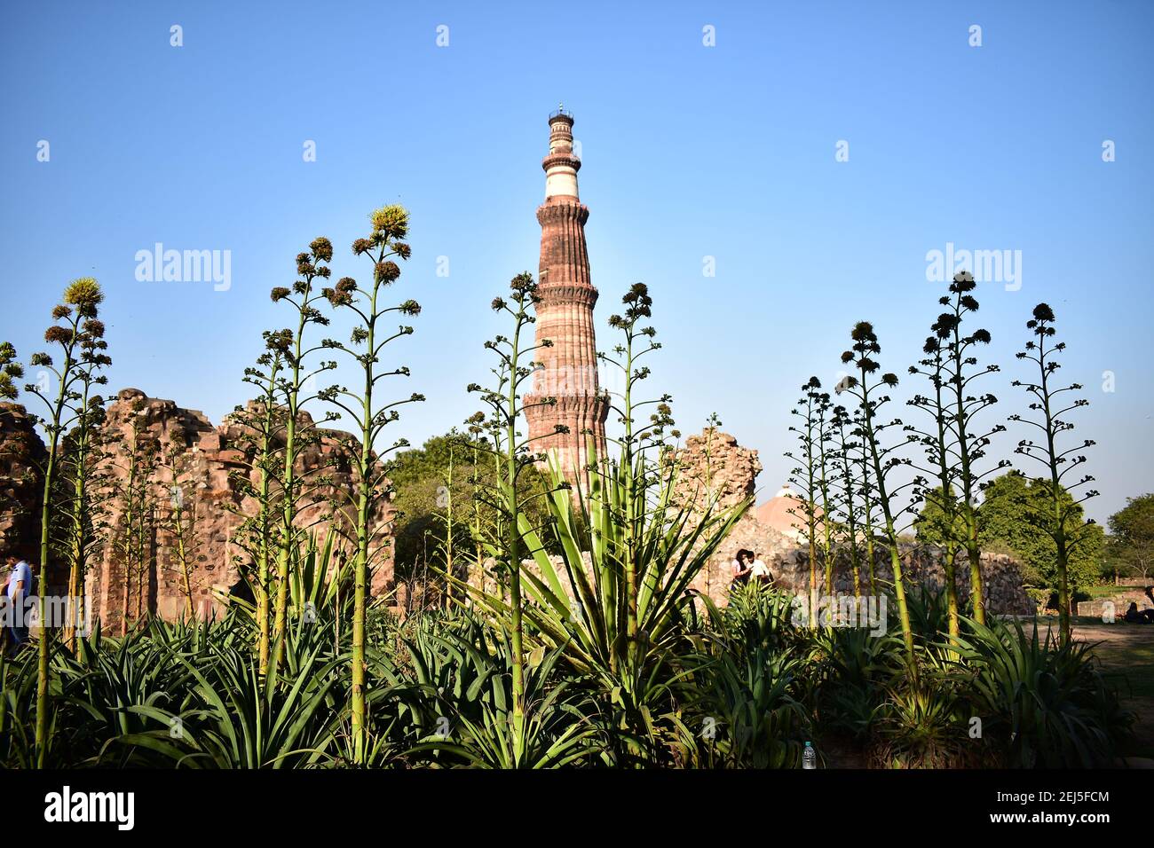 Qutb Minar, Mehrauli, Nuova Delhi, India Foto Stock