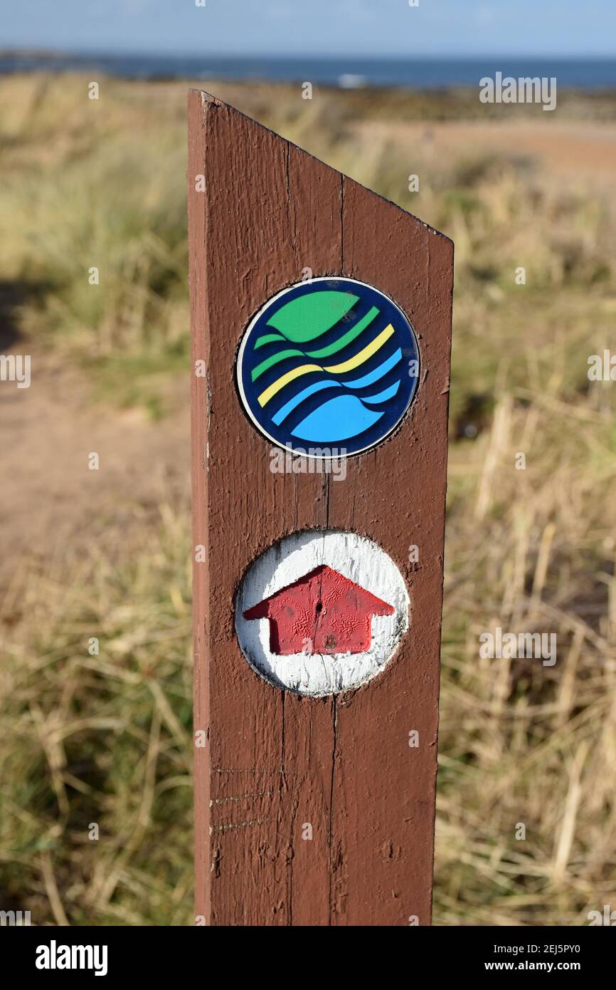 Palo isolato in legno con logo Fife Coastal Path e freccia con sfondo sfocato di erba di mare, sabbia, mare e cielo blu Foto Stock