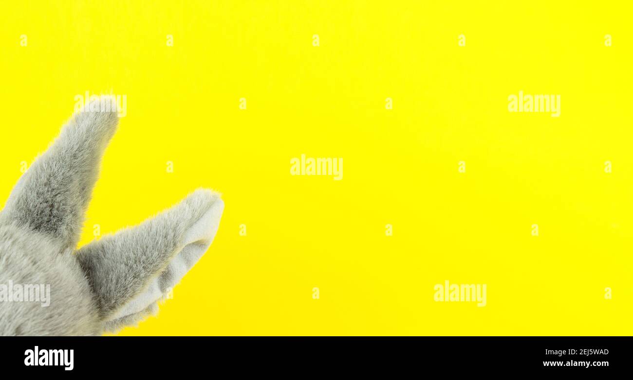 Pasqua coniglietto orecchie di coniglio sulla tendenza 2021 colore giallo Foto Stock