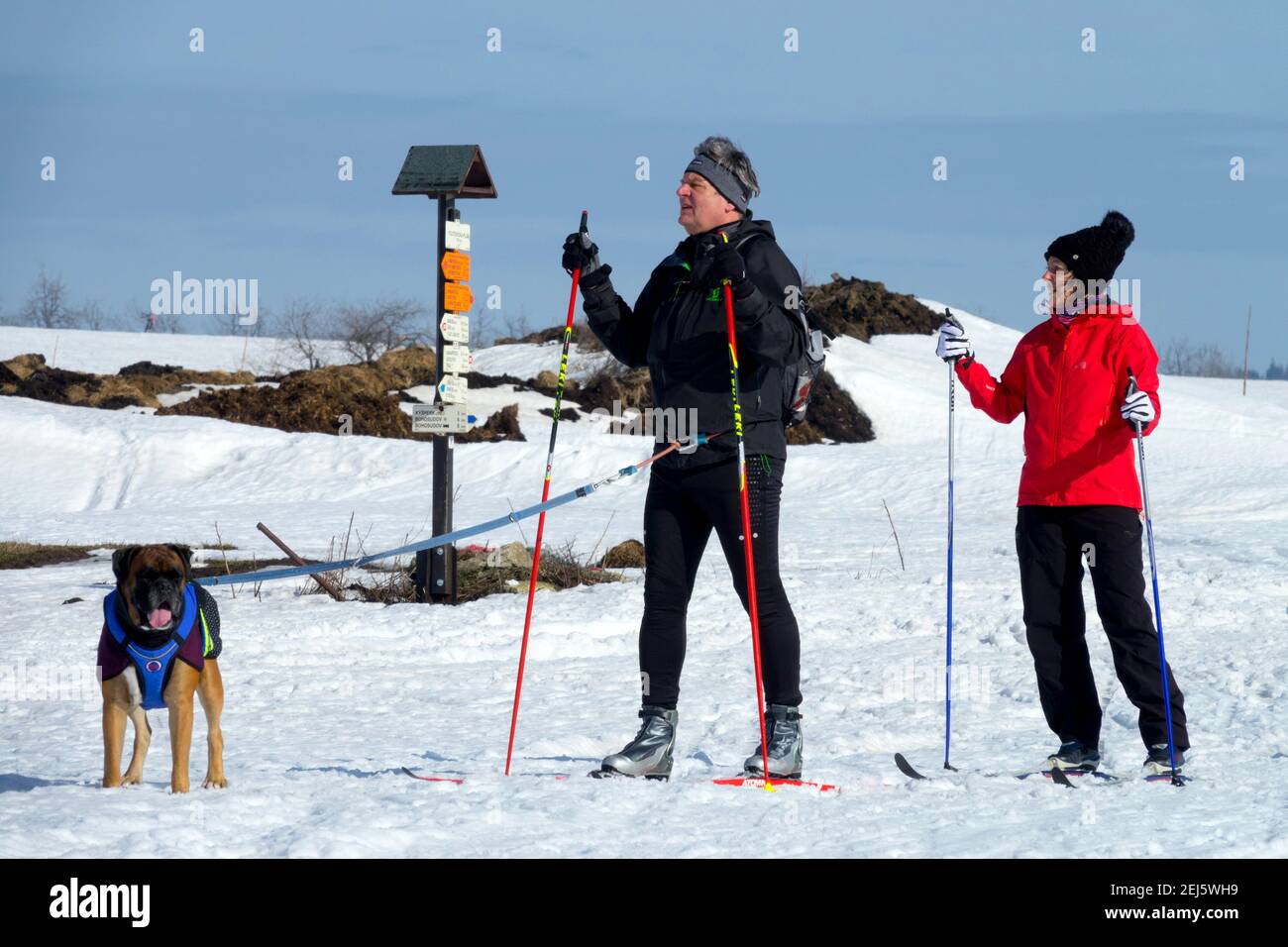 Anziani uomo donna e cane in viaggio invernale, sano stile di vita sci di fondo Foto Stock