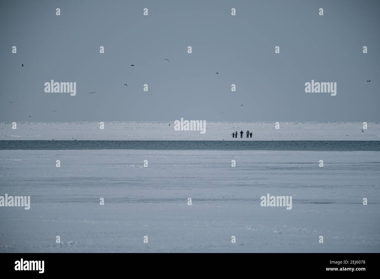 Cleveland, Ohio, Stati Uniti. 21 Feb 2021. Le persone in difficoltà attendono il salvataggio dal ghiaccio del lago Erie da parte dei membri della USCG Ice Rescue Team da Station Cleveland, così come da altre agenzie di soccorso locali, verso la fine di domenica pomeriggio, il 21 febbraio 2021 all'Edgewater Park a Cleveland, Ohio. Alle 12:43 EST, il Servizio meteorologico Nazionale a Cleveland emettere un avvertimento per non andare sul ghiaccio a causa dello sviluppo di crepe significative da venti meridionali. Secondo un Tweet dell'USCG Great Lake, la squadra di salvataggio del ghiaccio '''¦ USCG ha salvato 6 individui attraverso lo skiff del ghiaccio e gli altri 4 sono stati scortati via il ghiaccio da Foto Stock