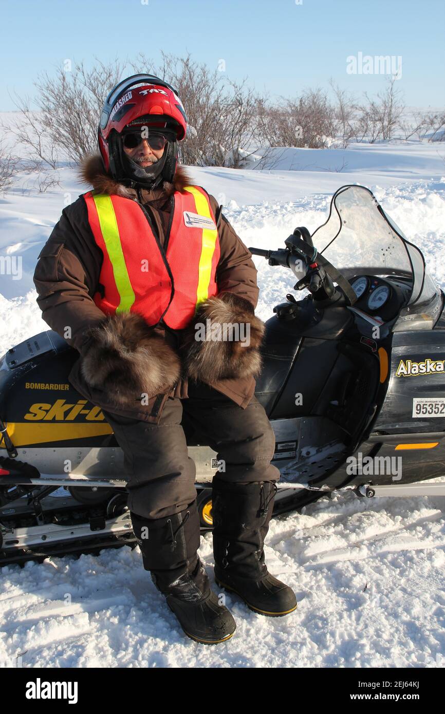 Monitoraggio della fauna selvatica maschile indigena in motoslitta durante la costruzione invernale dell'autostrada Inuvik-Tuktoyaktuk, territori del Nord-Ovest, Artico del Canada. Foto Stock