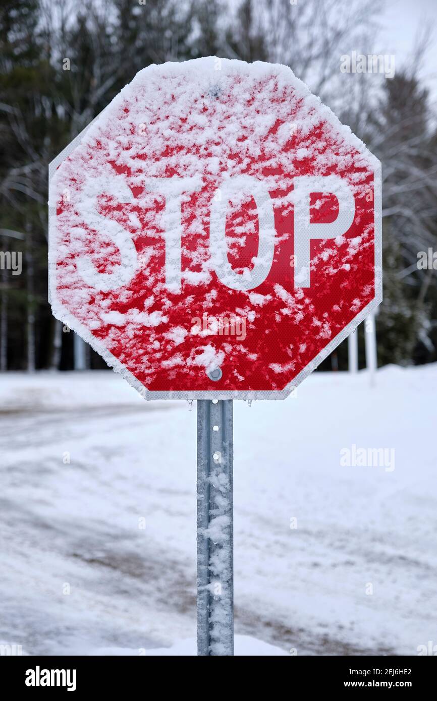 Un segnale di stop rosso brillante è coperto di neve bianca fresca. Foto Stock