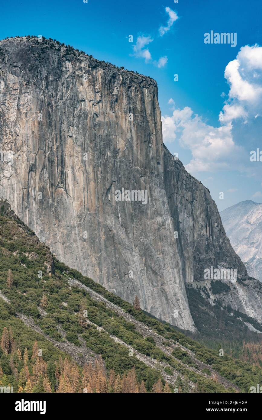 Paesaggio, stile di vita e grandi spazi aperti del Parco Nazionale di Yosemite Foto Stock