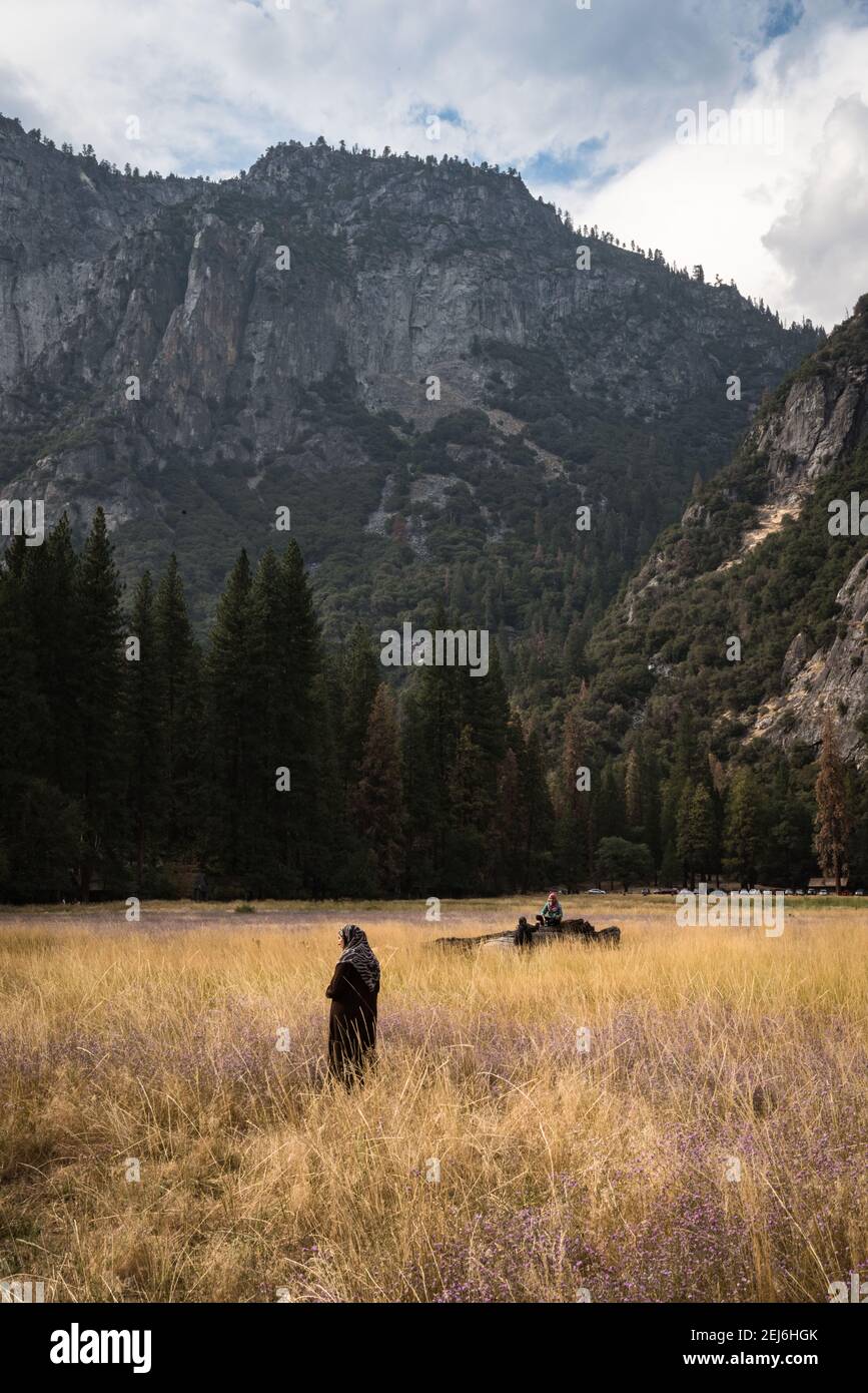 Paesaggio, stile di vita e grandi spazi aperti del Parco Nazionale di Yosemite Foto Stock