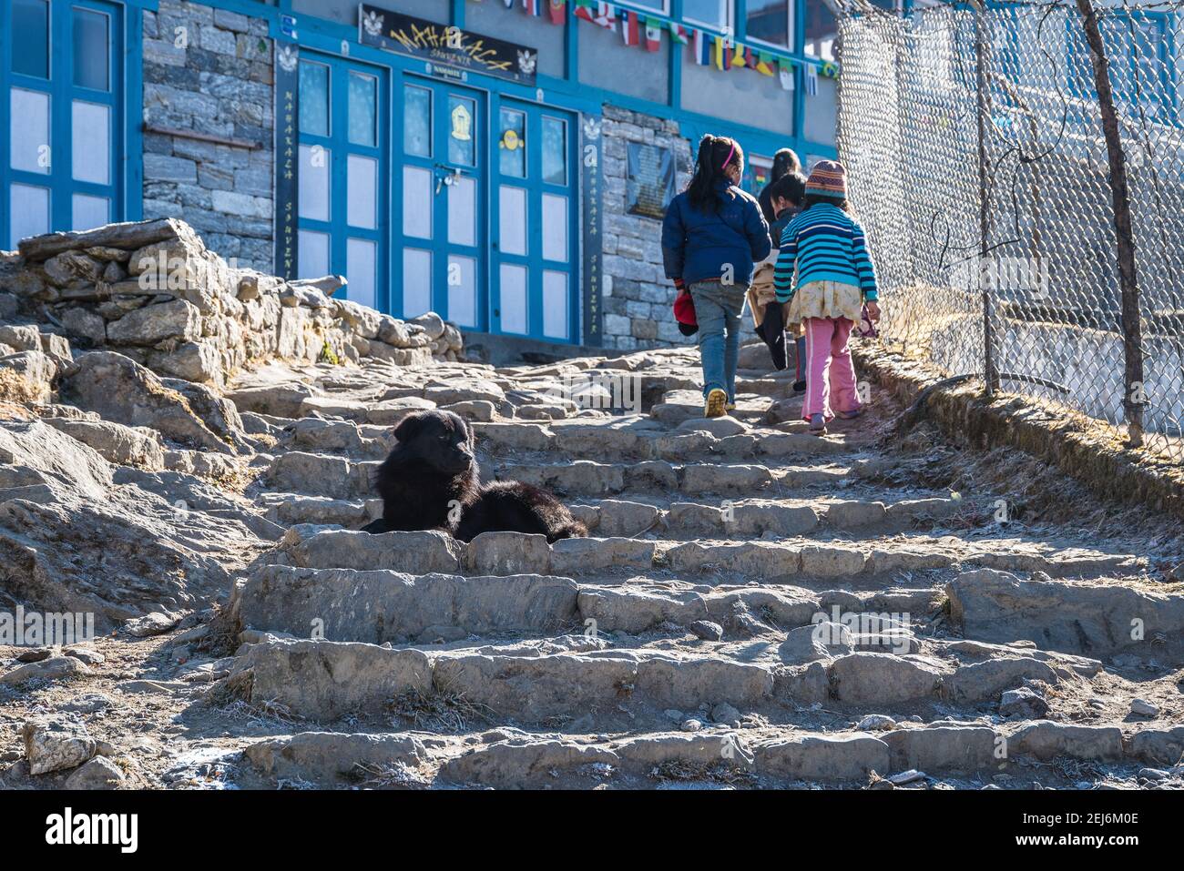 Kathmandu, Nepal, è la porta d'accesso a Himalaya, Everest e infinite vette, parchi e avventure. Qui ho visitato Kathmandu e Sagarmatha National Park Foto Stock