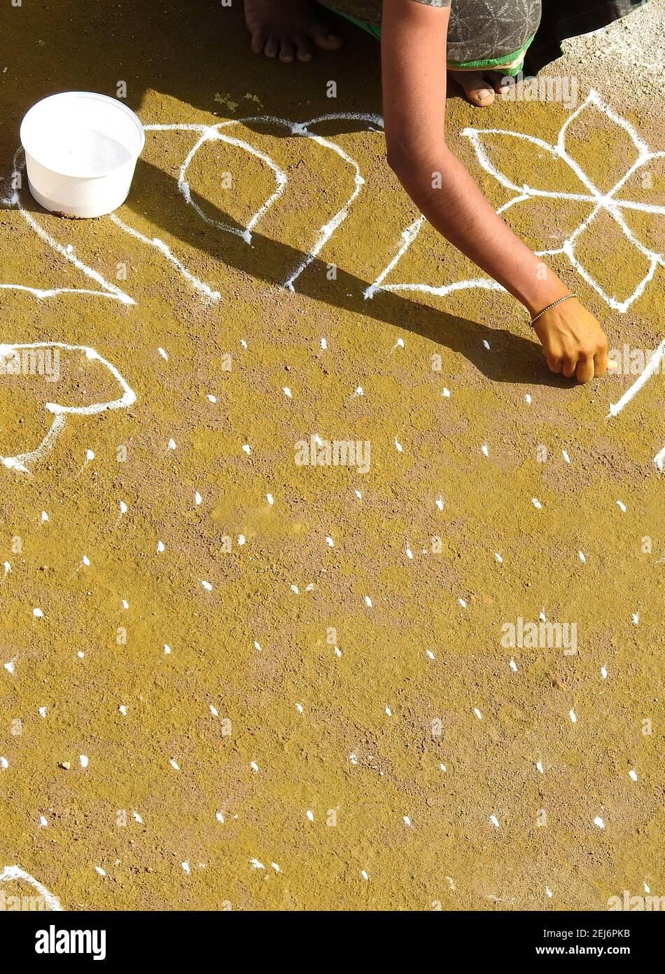 La donna indù indiana attira rangoli tradizionali durante il festival di raccolta pongal o makar sankranti Foto Stock