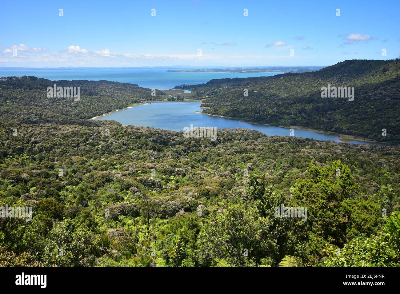 Vista dall'alto della diga di Nihotupu, circondata dalle catene di Waitakere, dal Centro visitatori di Arataki a West Auckland. Foto Stock