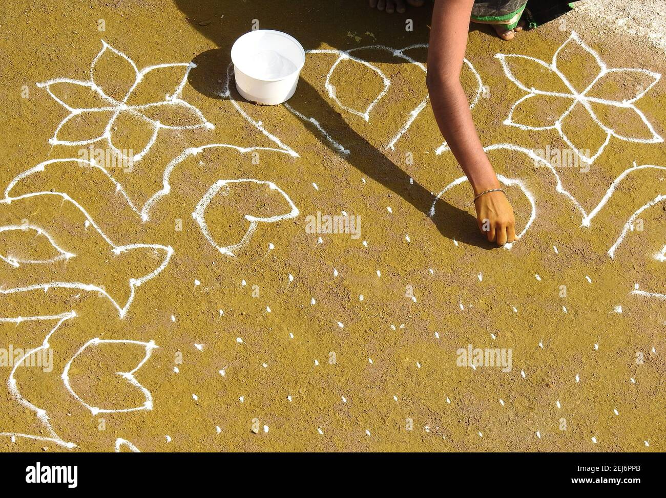 La donna indù indiana attira rangoli tradizionali durante il festival di raccolta pongal o makar sankranti Foto Stock