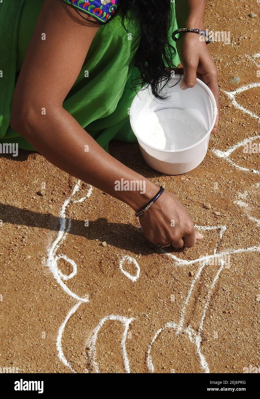 La donna indù indiana attira rangoli tradizionali durante il festival di raccolta pongal o makar sankranti Foto Stock
