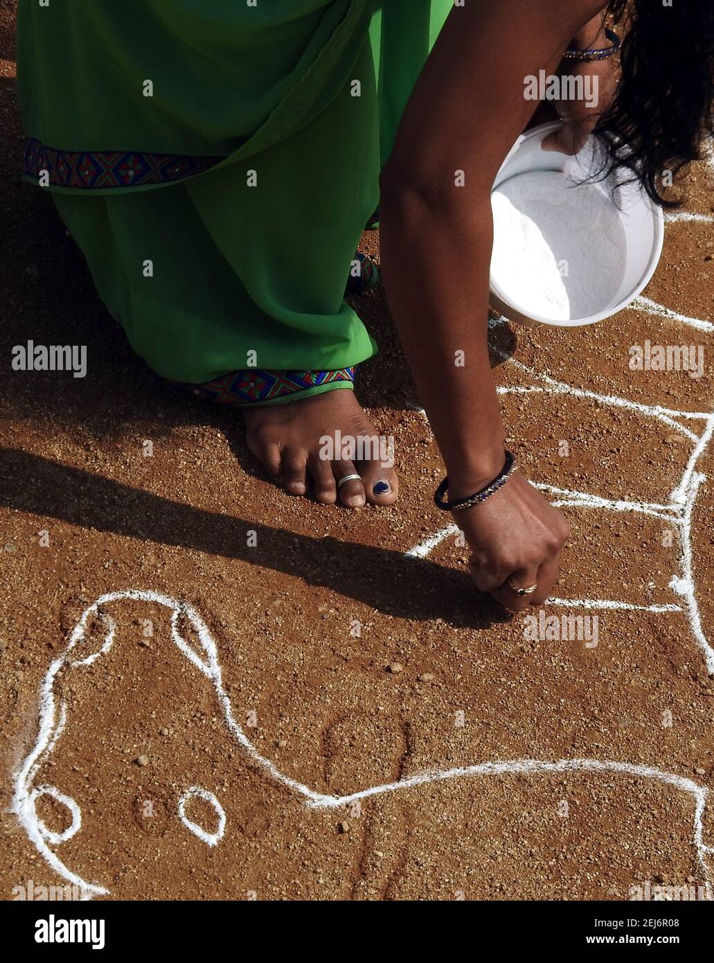 Indù donna indiana disegnare rangoli durante raccolto festival pongal o. makar sankranti Foto Stock