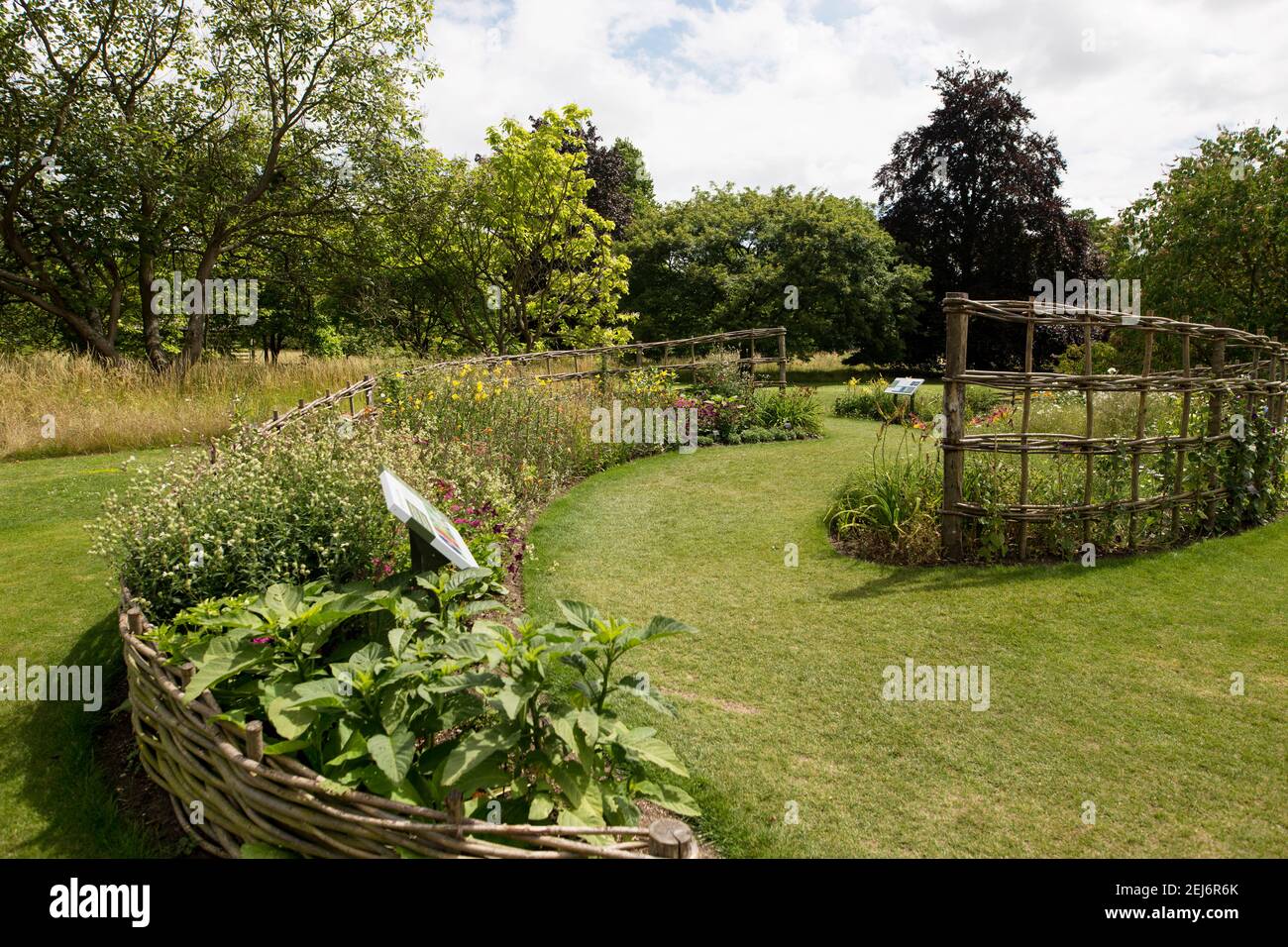 Aiuole e recinzioni ricurve nell'area Understanding Plants del Cambridge University Botanical Gardens di Cambridge, Inghilterra, Regno Unito. Foto Stock