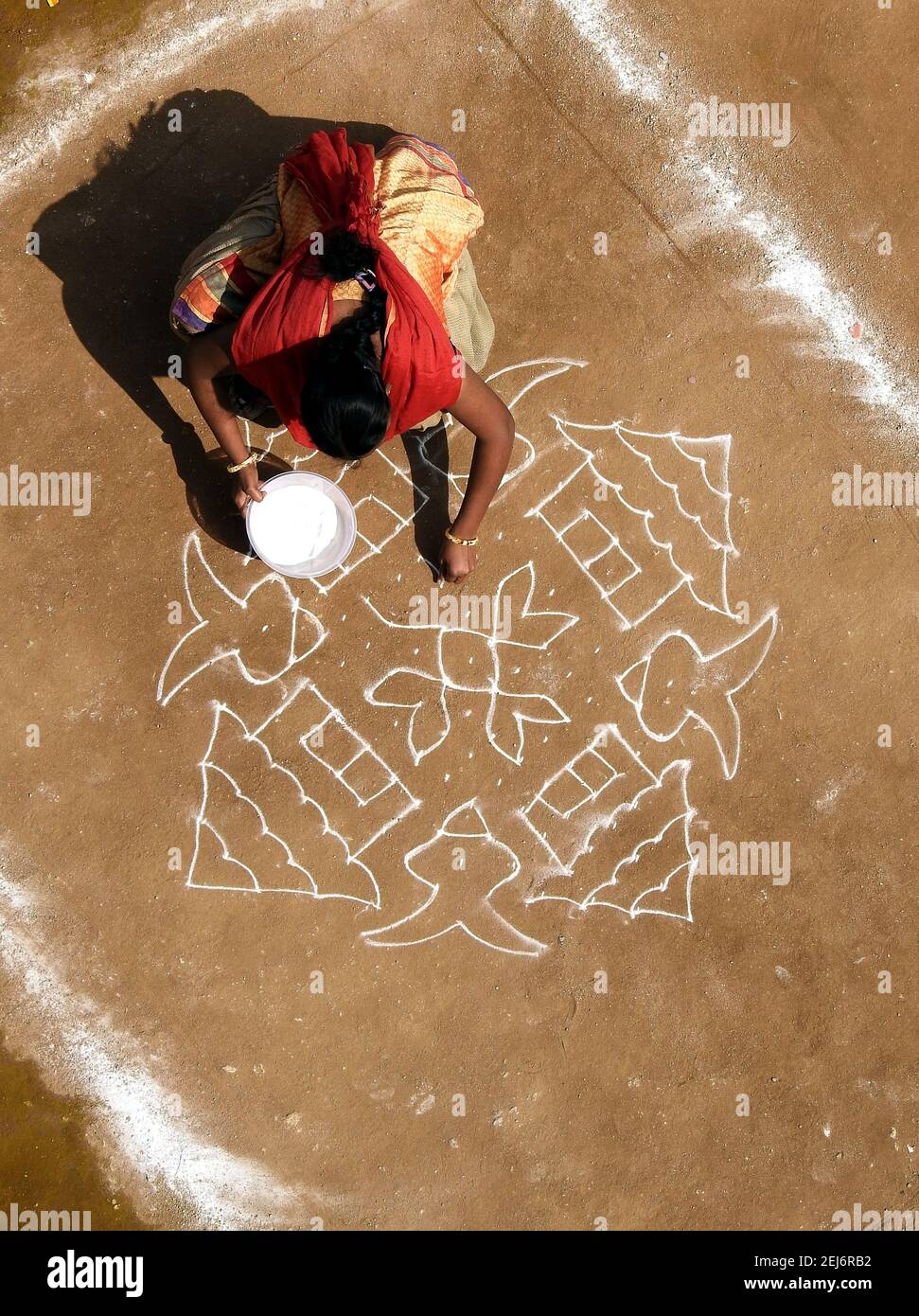 La donna indù indiana attira rangoli tradizionali durante il festival di raccolta pongal o makar sankrant Foto Stock