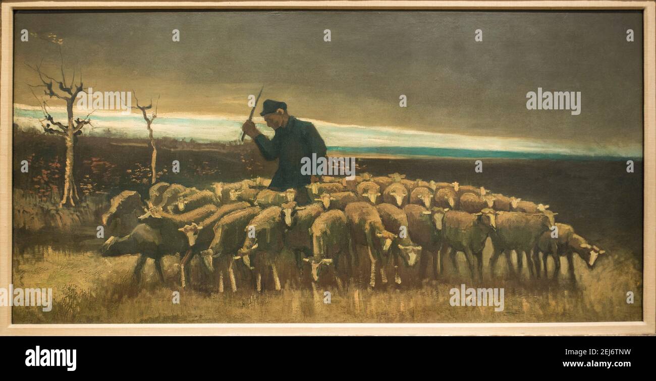 Dopo la tempesta o Pastore con gregge di pecore di Vincent Van Gough 1884 Neunen, Francia Foto Stock