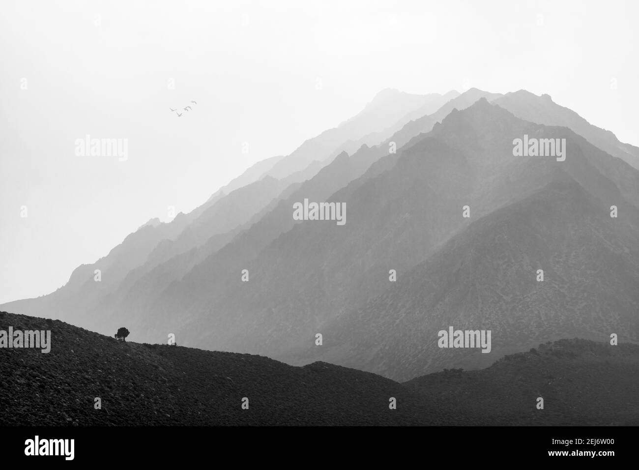 Montagne della Sierra orientale Foto Stock