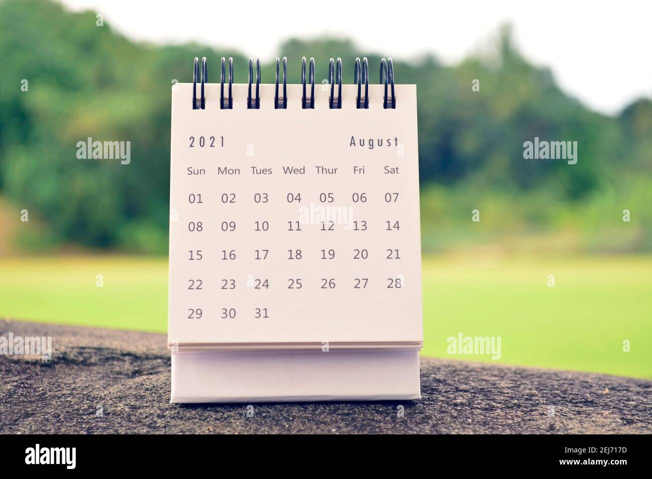 Calendario bianco di agosto 2021 con sfondo sfocato verde Foto Stock