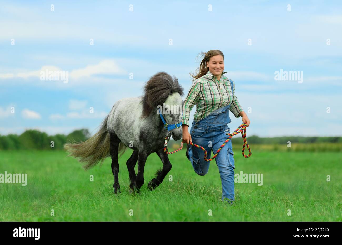 La donna caucasica e il suo allegro pony grigio corrono attraverso l'erba. Foto Stock