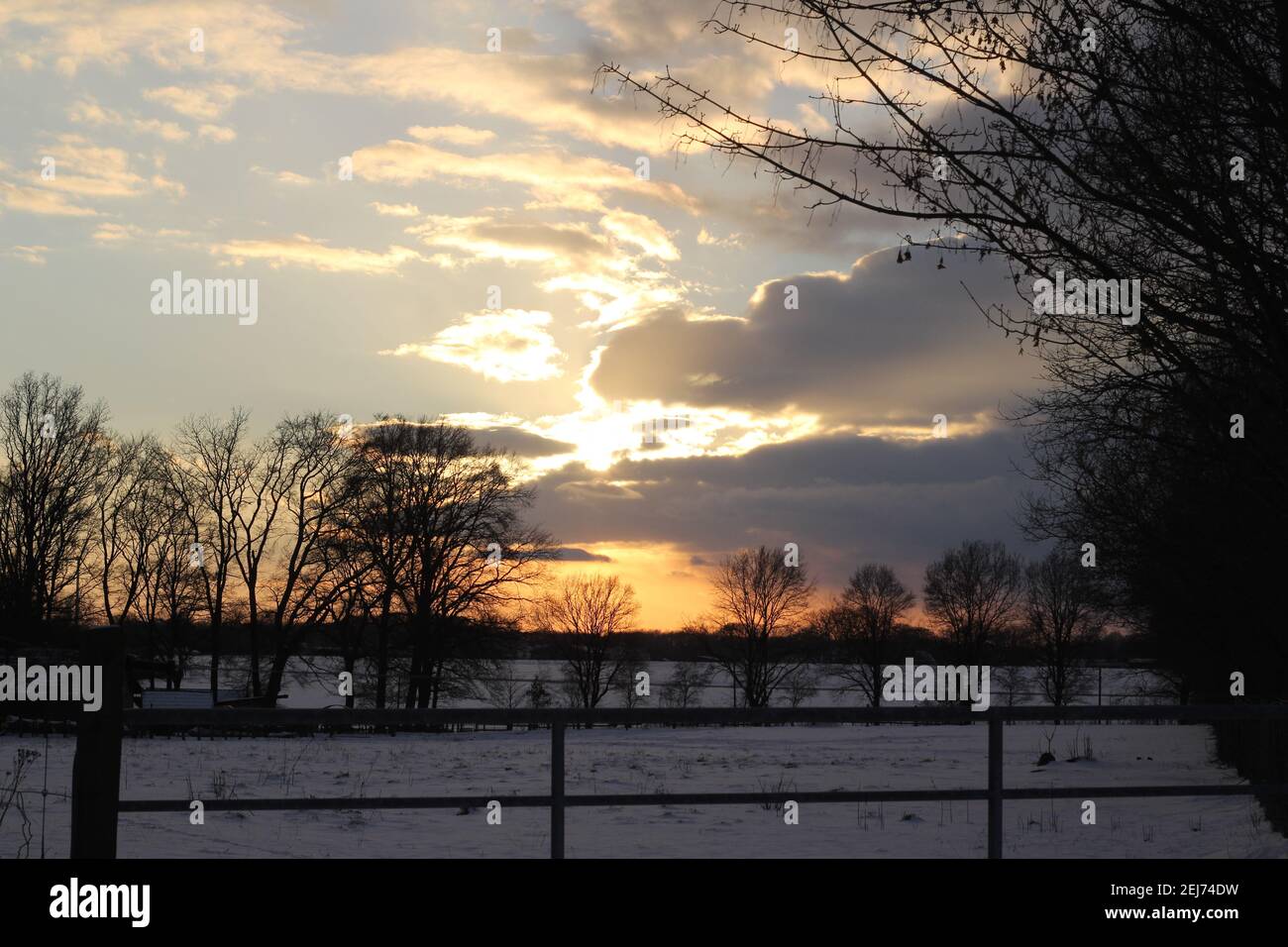 Un bellissimo tramonto con cielo nuvoloso e alberi nel sfondo Foto Stock