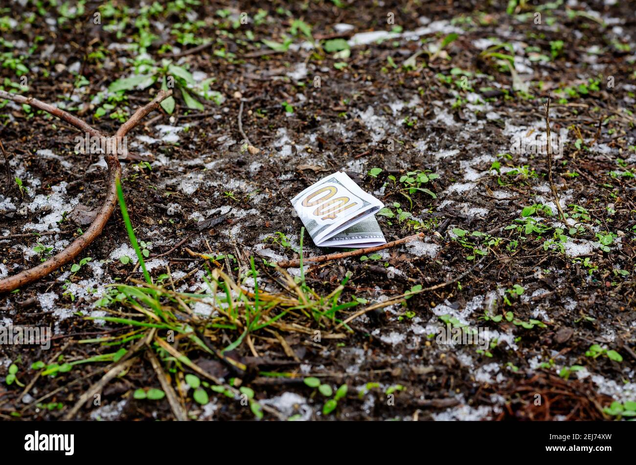 Un disegno di legge di cento dollari sguazzato si trova sul terreno congelato. Denaro perso. Inverno, all'aperto. Nessuna gente Foto Stock